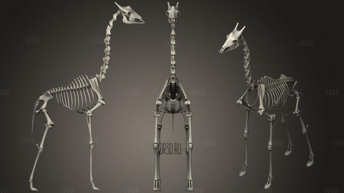 Giraffe Skeleton stl model for CNC